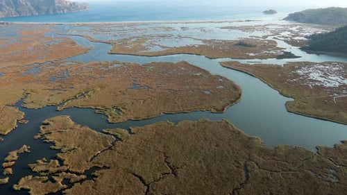Aerial view of a swamp in Dalyan, Turkey.