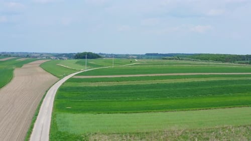 Empty Dirt Road Between Fields
