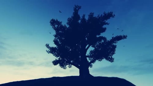 Time-lapse Tree Silhouette with Sky Changing from Night to Day