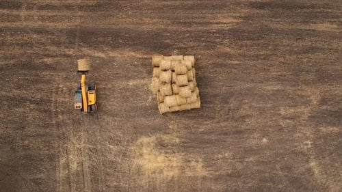 Luftaufnahme des Traktors sammelt Stroh auf dem Feld und macht Heuhaufen