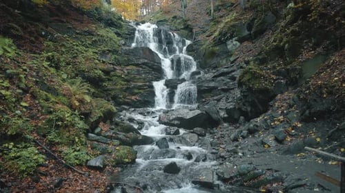 Wasser fällt von großen Felsen, umgeben von abgefallenen Blättern