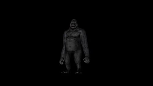 Gorilla Stand Front