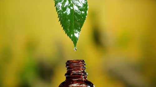 Perfumery