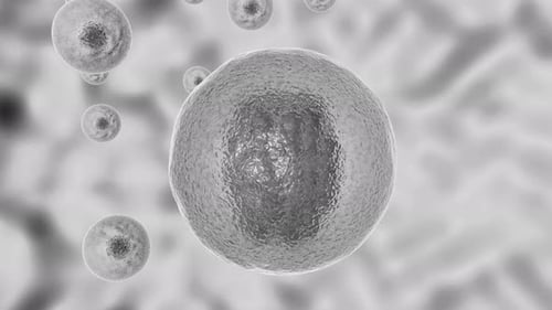 Bacterial Infection Destroying Cell in 3D Medical Animation