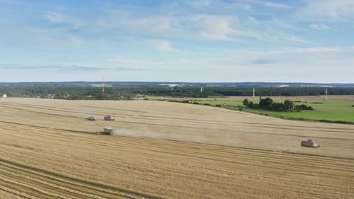 Drone Flies Over Harvester Machines Cuts Wheat Crop in Rural Yellow Field. Agriculture Food
