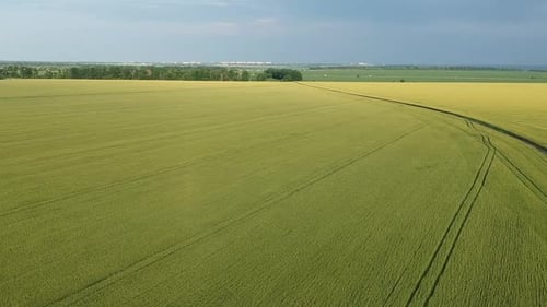 Aerial View of a Green Rural Area