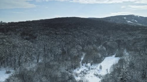 Luftflug durch verschneite Winterbäume mit Blick auf die Berge