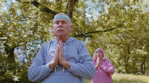 Athletic Fitness Senior Sport Man Woman Grandparents Group Practicing Yoga Cardio Workout in Park