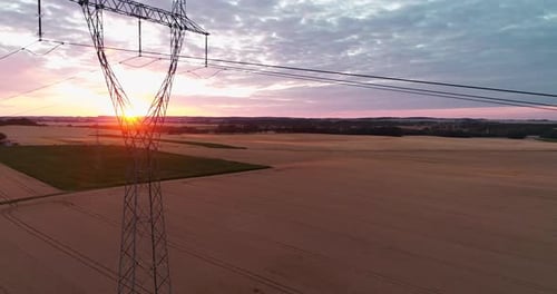 Aerial View of Wheat Field at Dusk Agriculture