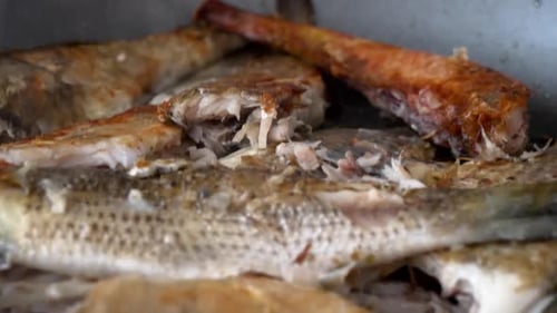 The fish is fried on one side in a pan with close up view.