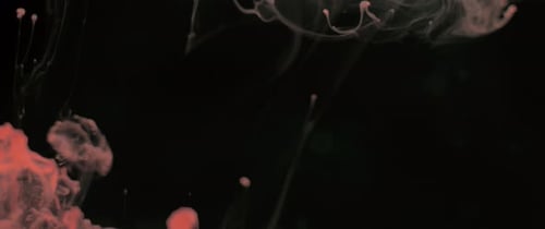 Swirling Red Ink in Dark Liquid Abstract Motion