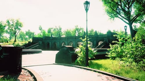 Smooth Camera Movement Through a Serene Green Park