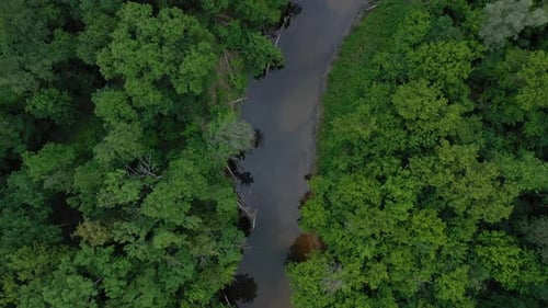 Aerial View of the Beautiful Landscape the River Flows Among the Green Deciduous Forest