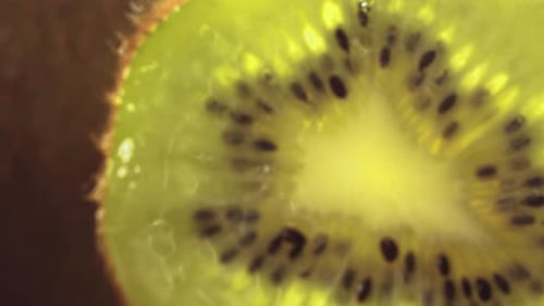 Kiwi Fruit Slice Extreme Close Up