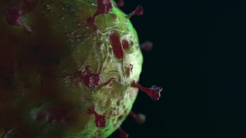 animación de bucle de bacteria 19 virus covid