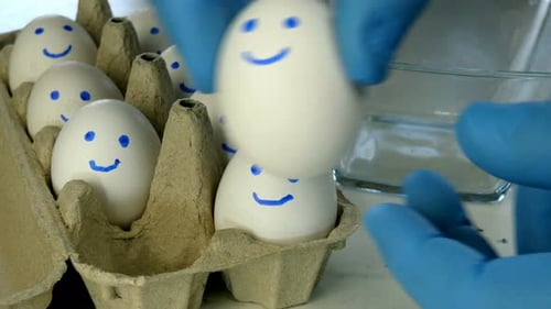 Chef Hands in Rubber Protective Gloves Take White Chicken Eggs From Cardboard Eggs Tray