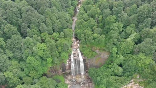 Aerial Large Waterfall in Untouched Wild Forest