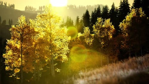 Coucher de soleil radieux dans les montagnes