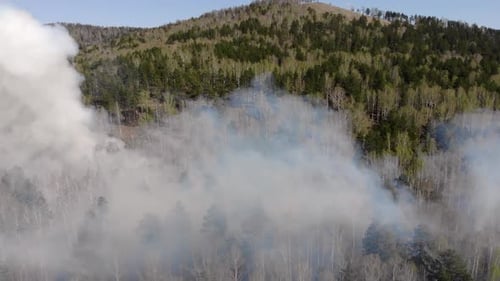 Luftverschmutzung durch Waldbrände Rauchwolken über dem brennenden Feld Luftaufnahmen