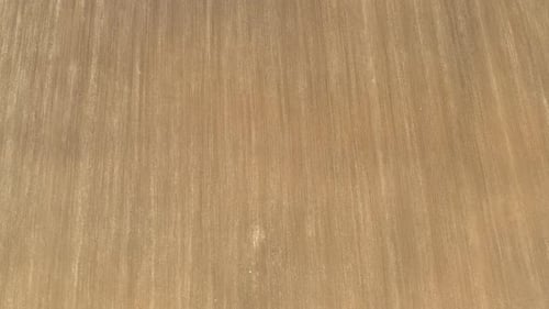 High above plowed field with few green parts 4K aerial footage