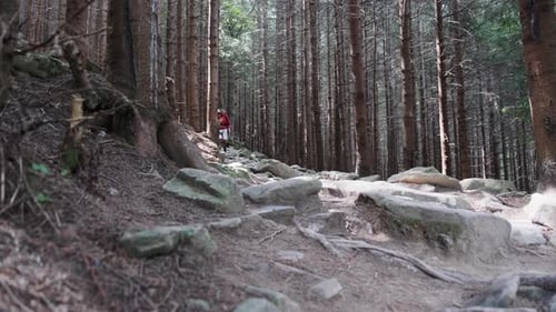 Tourist with a Backpack Goes Down the Stone Mountain Path in the Forest