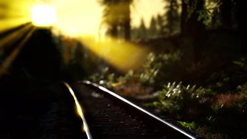 Golden Hour Sun Rays Over Forest Railroad Tracks
