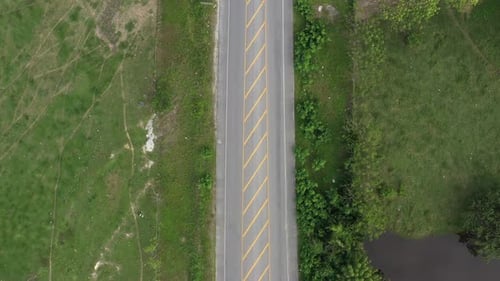 Asphalt Road Through Green Tropical Field