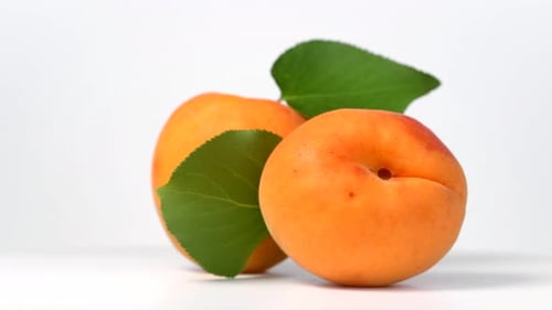 Apricots with Green Leaves Close Up