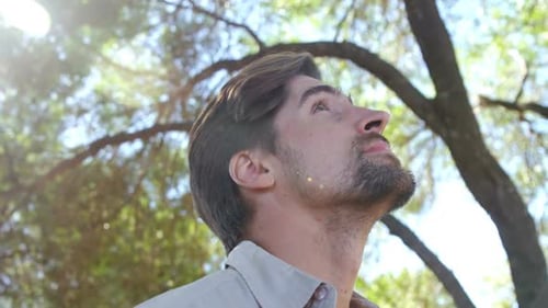 Man looking around in forest on a sunny day 4k