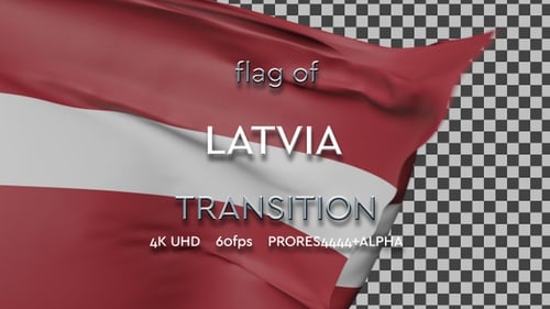 3D Realistic Waving Flag Transition and Background
