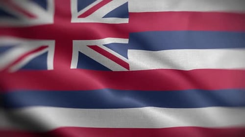 Realistic Waving Hawaii State Flag Seamless Loop