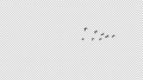 Flock of Geese - Flying Transition I - Small Wedge