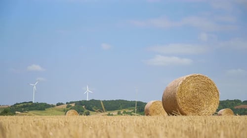 Bales of Straw on Wheat Field