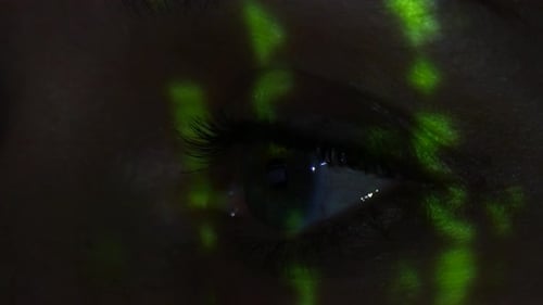 Das Auge des Computer-Hackers