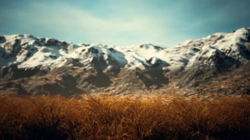 Dry Grass and Snow Covered Mountains in Alaska