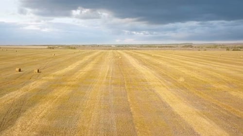 Nature Farm Field