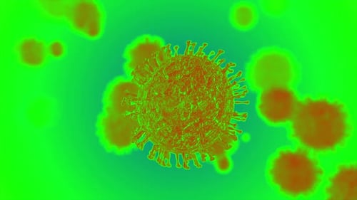 Antecedentes del coronavirus