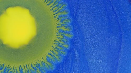 Crystal Germination
