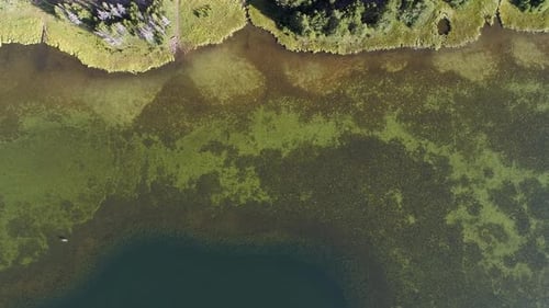 Top down view panning lake and shore line from aerial view