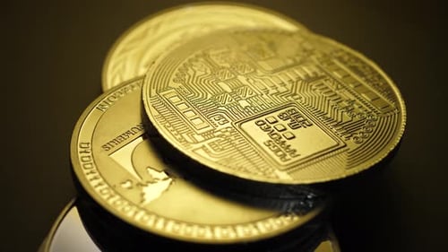 Différents types de cryptomonnaies