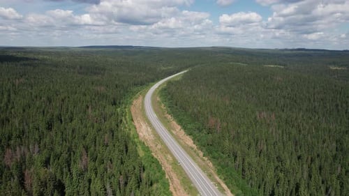 Vue aérienne d'une route panoramique entre des arbres verts avec des pins par un matin d'été ensoleillé