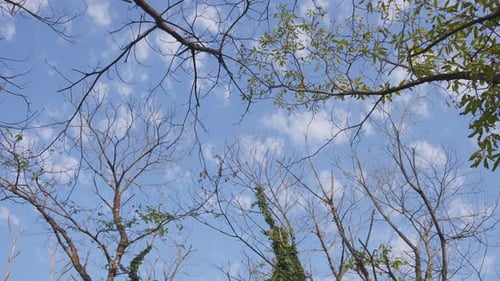 Moving under blue sky