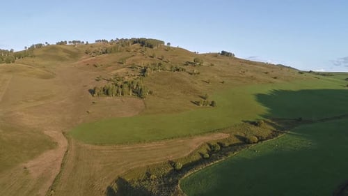 Green meadow hiils and forest. Aerial nature shot.