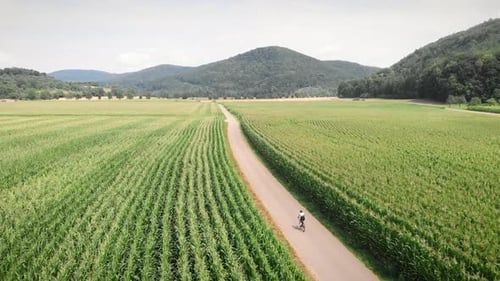 Bike ride through narrow countryside road surrounded by green fields