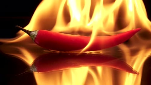Red Chilli Pepper on Fire with Reflection
