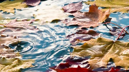 Sonniges Herbstwetter