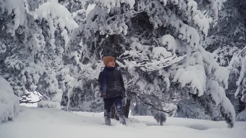 Boy looking around in the snowy forest.