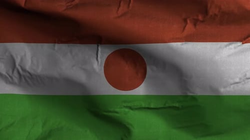 Niger Flag Waving Seamless Loop