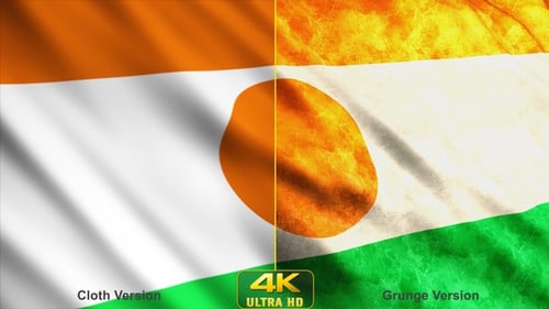 Waving Niger Flag: Realistic Clean and Grunge Textured Versions