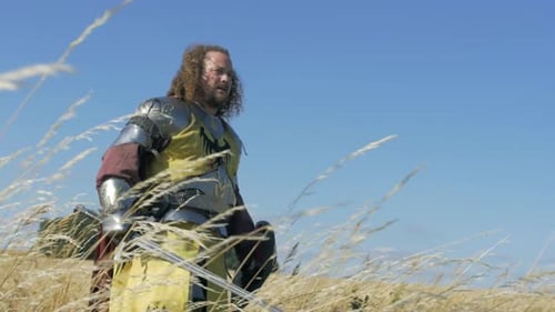 Knight Stands Guard in Wheat Field on Sunny Day